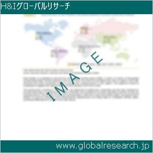 グローバルリサーチ調査レポートのイメージ